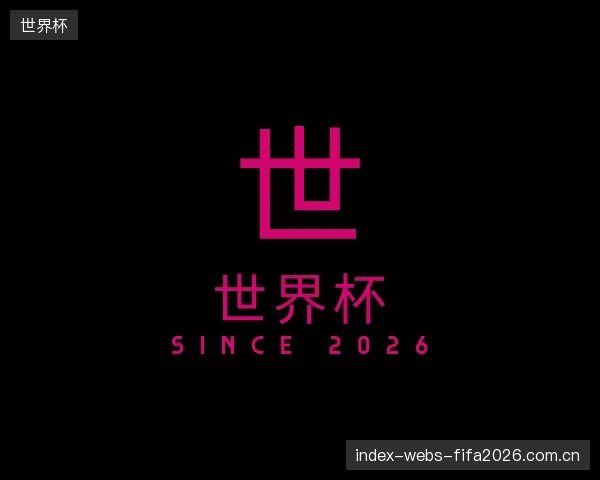 认识世界杯公司